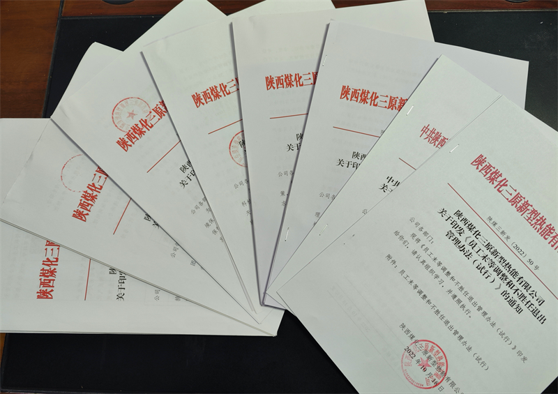 三原公司：三項(xiàng)舉措助推企業(yè)跑出“加速度”1.png